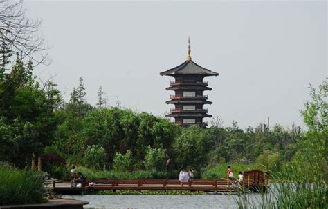 濰坊有哪些旅遊團？旅遊團的種類繁多，從自然風景到文化古蹟，從城市遊覽到鄉村體驗，應有盡有。