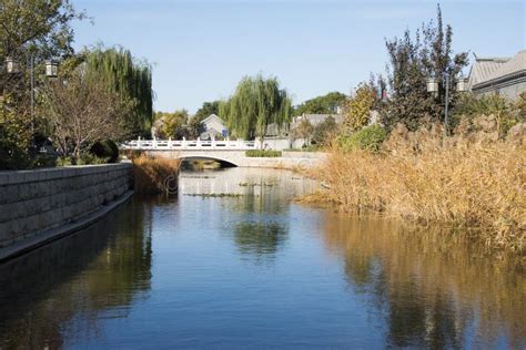 玉合公園裡的風景如何